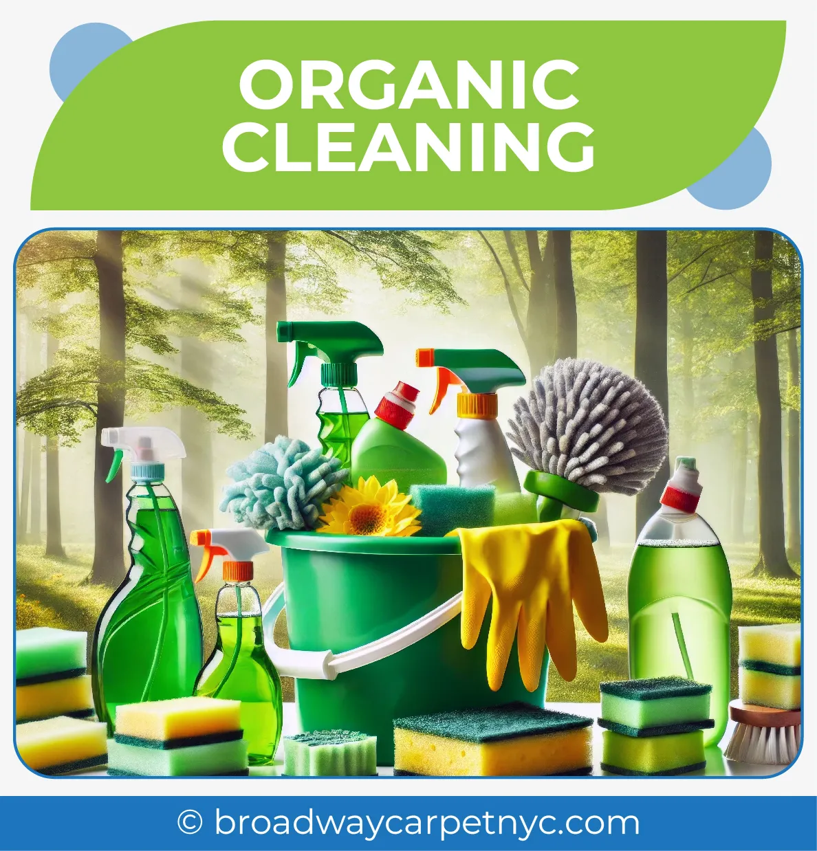 carpet cleaning in NYC, carpet cleaning in new york, carpet cleaning NYC, carpet cleaners in NYC, carpet cleaners in new york, commercial carpet cleaning, commercial carpet cleaning in NYC, NYC rug cleaners, rug cleaning services in NYC, same day carpet cleaning, same day rug cleaning